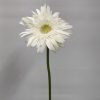 Ανθοδέσμη - gerbera_white