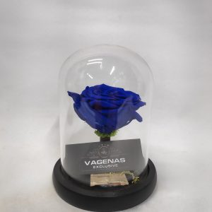 Forever Rose Μπλέ 17 cm