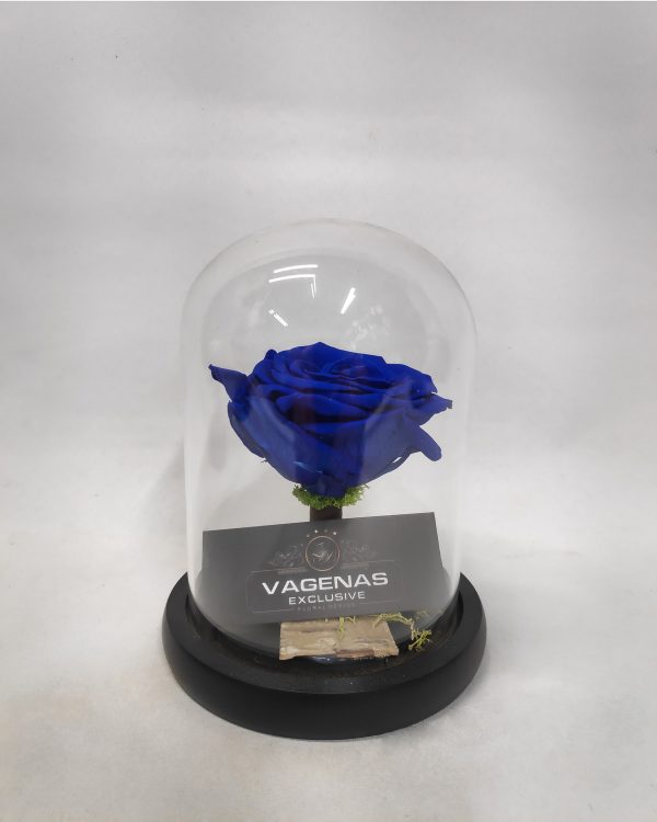 Forever Rose Μπλέ 17 cm