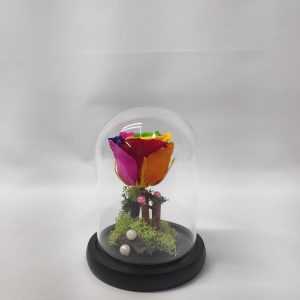 Forever Rose Rainbow 17 cm