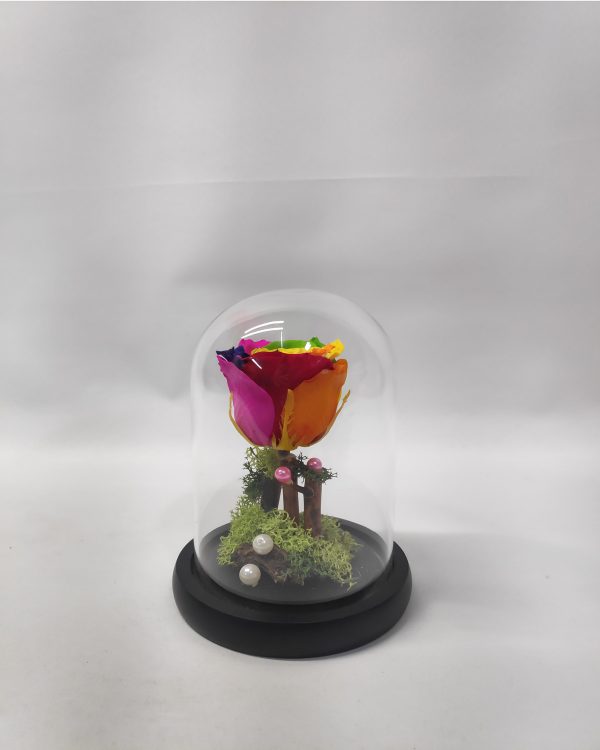 Forever Rose Rainbow 17 cm