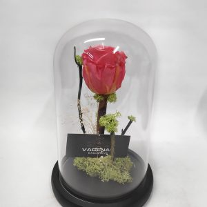 Forever Rose Ροζ 22 cm