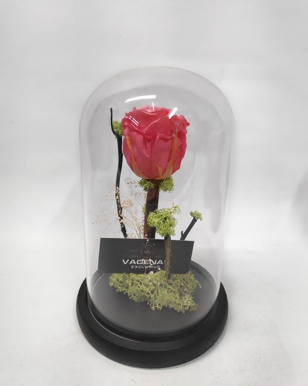 Forever Rose Ροζ 22 cm