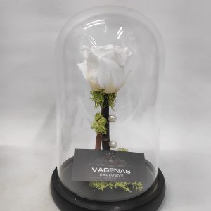 Forever Rose Λευκό 22 cm