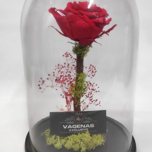 Forever Rose Κόκκινο 26 cm
