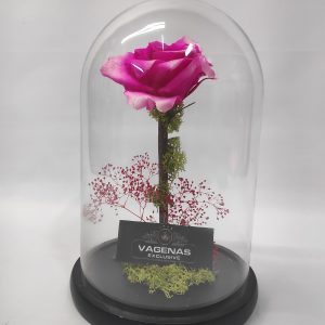 Forever Rose Ροζ 26 cm