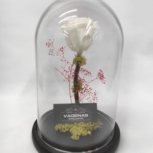 Forever Rose Λευκό 26 cm