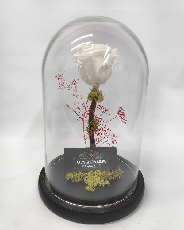 Forever Rose Λευκό 26 cm