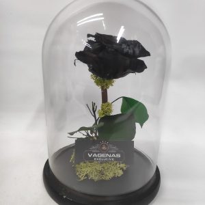 Forever Rose Μαύρο 26 cm