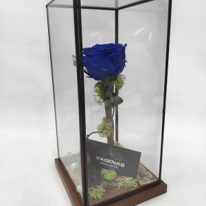 Forever Rose  Τετράγωνο
