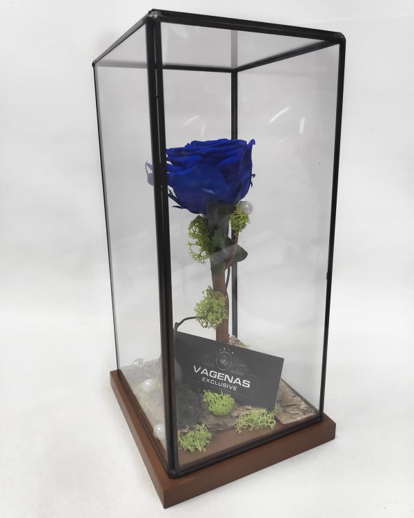 Forever Rose  Τετράγωνο