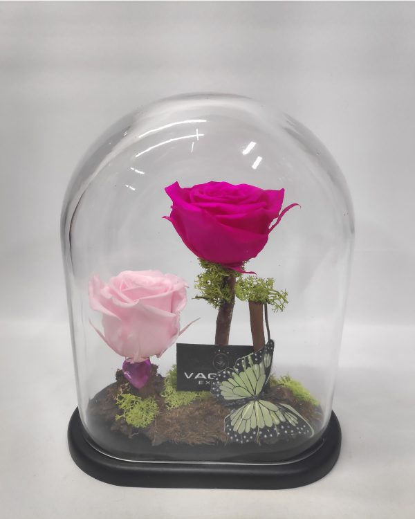 Forever Rose Double_01
