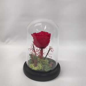 Forever Rose Κόκκινο 17 cm