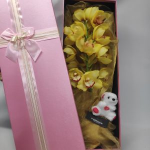 Κουτί ορχιδέα Cymbidium