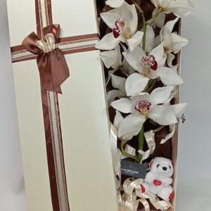 Κουτί ορχιδέα Cymbidium 2