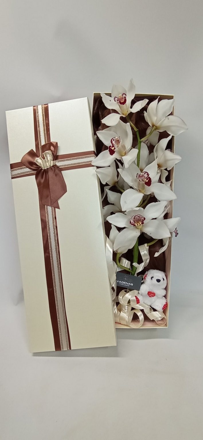 Κουτί ορχιδέα Cymbidium 2